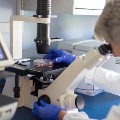 a nurse scientist views a sample through the microscope