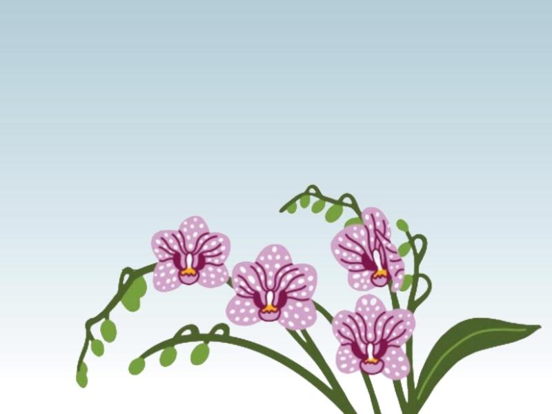 an illustration of a purple orchid on a blue background