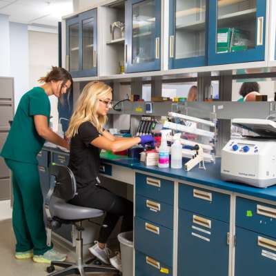 two undergraduate nursing students work at the bench in the biobehavioral research laboratory