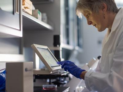 a lab worker enters information into a computer