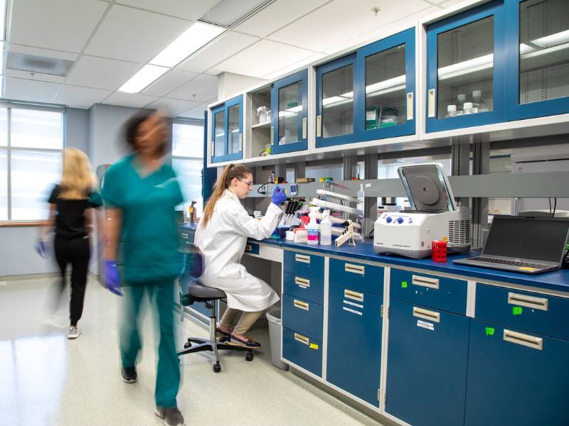 student researchers work at a laboratory bench in the biohavioral research laboratory